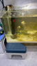 森森鱼缸石英加热棒200W款适用30-60L自动恒温水族箱加热器离水断电 实拍图