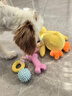 HELLOJOY狗狗玩具球小狗磨牙棒骨头耐咬狗咬胶小型犬宠物用品幼犬自嗨解闷 实拍图