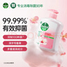 滴露（Dettol）洗手液滋润500g*6 抑菌洗手液家庭装大桶儿童消毒无酒精温和护手 实拍图