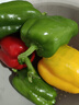 京鲜生 山东三色彩椒圆椒甜椒新鲜蔬菜净重1.5斤单果150g起源头直发包邮 实拍图