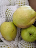 京鲜生 新疆库尔勒香梨 净重8斤 单果120g起 生鲜水果 礼盒装 包装随机 实拍图