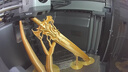彩格3D打印耗材PETG 1.75mm 适用拓竹 创想三维 爱乐酷 纵维立方 极光尔沃3d打印机线材 透明白色 1kg 实拍图