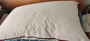 水星家纺枕头枕芯酒店枕头护颈枕头芯家用单个纯棉抗菌可水洗中枕48x74cm 实拍图