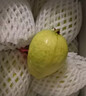 京觅福建芭乐 白心芭乐 土番石榴单果150g 4.5斤装 实拍图