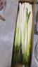 京鲜生正宗山东章丘大葱精品大葱8斤 新鲜蔬菜特产礼盒源头直发 实拍图