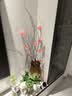 美学黑客真树枝干枝山捻枝玉兰花束客厅摆设干花花束真花插花家居室内装饰 玉兰花红色三支不含花瓶 实拍图