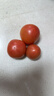 番茄约500g 实拍图