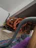 通用全自动洗衣机排水管加长延长下水软管出水放波轮防臭滚筒管子 5米通用洗衣机排水管 升级胶头 实拍图