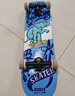 DBH滑板专业板初学者儿童成年人男女6-12-18岁四轮双翘板蓝象8.0英寸 实拍图