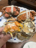 【活蟹】漁家师傅大闸蟹公4.5-4.8两母3.5-3.8两4对8只 鲜活螃蟹生鲜年货礼盒 源头直发 实拍图