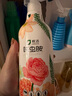 皎洁花卉杀虫剂植物土壤绿蔬菜蚜虫小黑飞月季花草红蜘蛛蚧壳虫500ml 实拍图