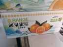 壹萌果蔬临海涌泉蜜桔【顺丰多地次日达】蜜桔橘子水果年货礼盒礼品 【金奖-甄选果】丨果径55-65MM【黄金甜】 5斤装【超值推荐-80%选择】净4.5斤 实拍图