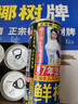 椰树牌正宗 椰子汁  245ml*24罐整箱装  植物蛋白饮料 年货送礼 实拍图