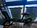 大行（DAHON）P8折叠自行车经典成人20英寸8速折叠车男女式运动单车KBC083 消光灰绿【JD定制版】 实拍图