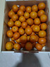 京鲜生 正宗广西砂糖橘净重4.5斤 单果35-55mm 精品果 源头直发包邮 实拍图