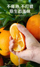 农夫山泉 17.5°橙 赣南地区脐橙 净重6斤 铂金果 生鲜水果橙子年货礼盒 实拍图