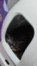 小佩智能自动猫砂盆全自动猫厕所MAX2 开放式一键换砂(支持鸿蒙智联)  实拍图