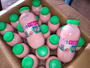 李子园【成毅代言】甜牛奶乳饮料哈密瓜味225ml*20瓶儿童早餐奶送礼黑五 实拍图