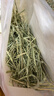 喜帅美国进口一番提摩西草 兔子牧草磨牙干草饲料龙猫豚鼠粮草500g 实拍图