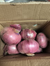 山东特产水果扁洋葱甜瓜口感红皮扁葱头生吃脆甜蘸酱好吃粉嫩 紫皮洋葱大果带箱 3斤 精选 实拍图