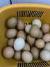 食特吉七彩山鸡蛋30枚 散养土鸡蛋  杂粮蛋礼盒 净含量1.68斤 源头直发 实拍图