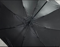 天玮伞业（Tianwei umbrella）雨伞长柄伞大号超大伞自动男士直杆伞高尔夫商务伞晴雨伞可定制 实拍图