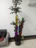 酷依宝拉花彩带5条 运动会学校庆毛条拉花婚礼节庆布置装饰乔迁开业 实拍图