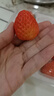 樱鲜多地次日达顺丰JD丹东99红颜牛奶奶油甜草莓新鲜水果年货送礼盒装 1盒  优选果【20枚】单果10-19g 实拍图