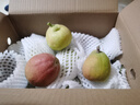 京鲜生 新疆库尔勒香梨 净重5斤 一级 单果100g-120g  生鲜水果 实拍图