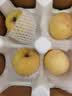 山东烟台黄金奶油富士苹果脆甜冰糖心很像维纳斯苹果 带箱2斤 实拍图
