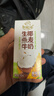伊利谷粒多生椰燕麦牛奶200ml*12盒 礼盒装 低GI食品 实拍图