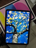Apple/苹果 iPad11英寸 A16芯片2025年款 平板电脑 (128GB WLAN版/学习办公娱乐)粉色 实拍图