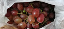 云南克伦生无籽红提现摘先发脆甜多汁 带箱5斤 实拍图