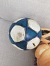 李宁足球5号成人初中小学生中考专用比赛训练标准五号耐磨世界杯足球 实拍图