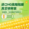 十月稻田 黄甜糯玉米 10根 4.4斤 东北甜黏玉米棒 真空包装 早餐苞米 实拍图
