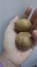 楼兰蜜语 薄皮大核桃500g/袋*2 新疆纸皮核桃 新二核桃零食 果炒货  实拍图