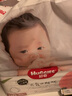 好奇（Huggies）铂金装纸尿裤 小桃裤 婴儿尿不湿 新老包装随机发货【多仓直发】 纸尿裤NB84片【0-5kg】 实拍图