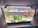 吉印刀锋s鱼缸灯led灯防水全光谱鱼缸照明灯水草灯小型超白鱼灯36cm 实拍图