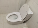 九牧（JOMOO）11173-2-1/41KD-3大力神普通马桶家用虹吸抗菌节水坐便器400坑距 实拍图