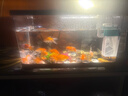 阔庭鱼缸懒人鱼缸家用客厅办公室金鱼缸过滤鱼缸黑色款 实拍图