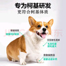 凯锐思 柯基狗粮中小型犬 专用幼犬成犬幼犬粮专用粮 【养护骨骼丨经典羊奶味】40斤 实拍图