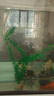 异景园鱼缸水族箱装饰仿真水草水族造景套餐假水草装饰塑料高款大水草绿 CA10小旋草【绿】 实拍图