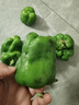 现摘新鲜圆辣椒超市即食太空椒皮厚肉多不辣水果灯笼椒 1斤试吃装 1斤 实拍图