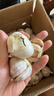 紫白皮蒜水果大蒜超市即食生鲜蔬菜大蒜 【实惠】5斤带箱 净重4.55斤单果3.5-5cm 实拍图