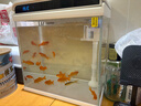 森森 超白玻璃智能鱼缸一体缸自循环家用水族箱HE-300 实拍图