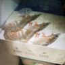 PHUKEY SEA厄瓜多尔冻南美白对虾 只只分离 海鲜水产 3斤 (76-90只) 实拍图