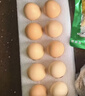 京鲜生鲜鸡蛋10枚/盒 健康轻食 营养健康1斤/盒 源头直发  实拍图