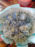 百花馆鲜花玫瑰花满天星新年元旦花束生日礼物真花送女友同城配送当日达 【星辰之恋】11朵白玫喷碎冰蓝+满天星|dy679 实拍图