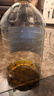 天府菜油【保真菜籽油】小榨浓香 菜籽油 6.18L（四星）非转基因 国企出品 实拍图
