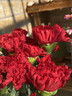 【单头康乃馨】鲜切花多色云南基地直发送妈妈送老婆花七夕节礼物 单头康乃馨红色20枝 实拍图